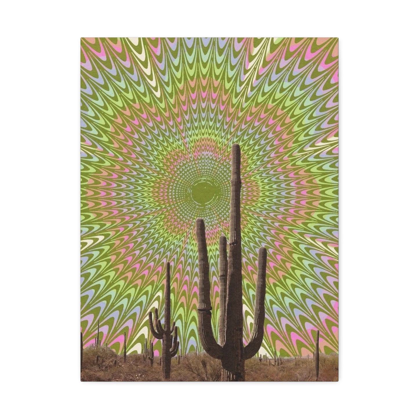 Stretched Canvas with Trippy Western Art – Optical Illusion Cactus Print