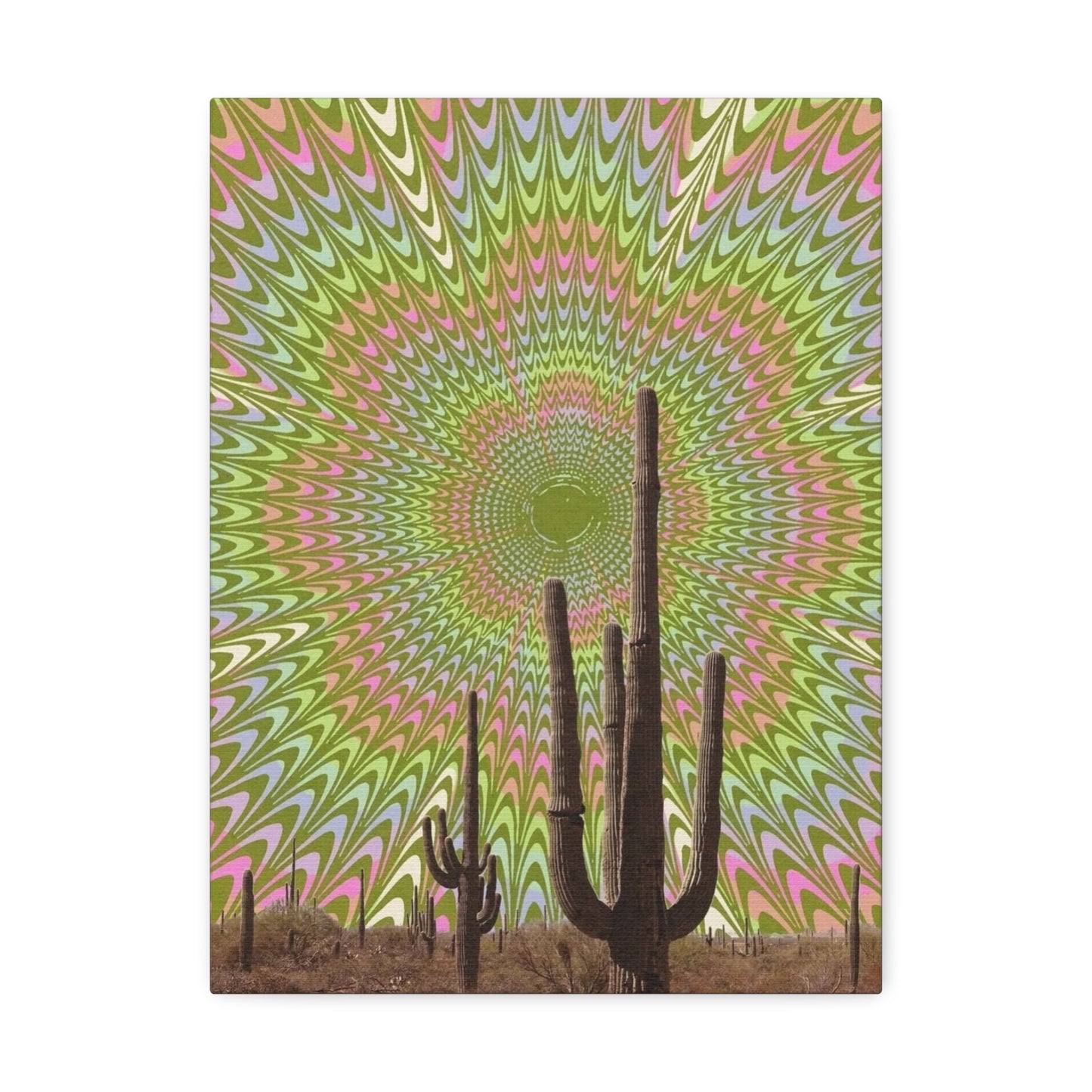 Stretched Canvas with Trippy Western Art – Optical Illusion Cactus Print